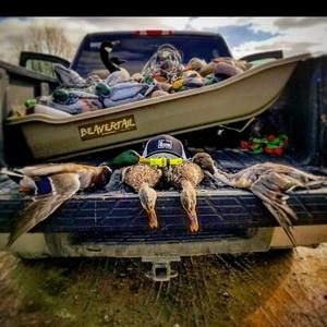 Meet your Posher, Austin